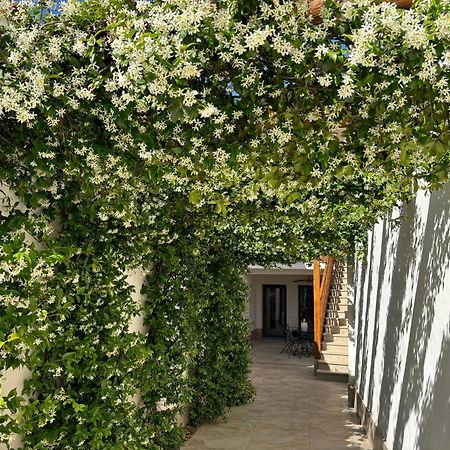 كونسويغرا El Patio De Los Jazmines Boutique-House المظهر الخارجي الصورة